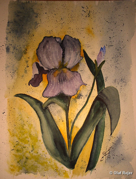 Ulrike Scheffer Picture 028