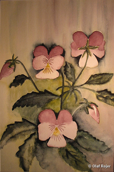 Ulrike Scheffer Picture 034