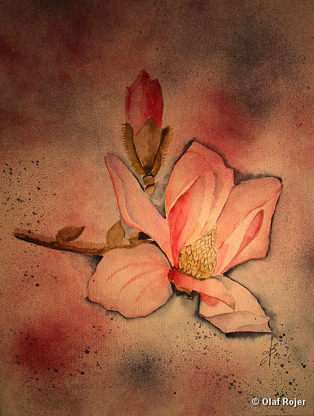 Ulrike Scheffer Picture 030