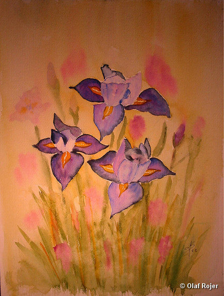 Ulrike Scheffer Picture 026