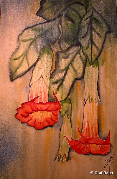 Ulrike Scheffer Picture 031