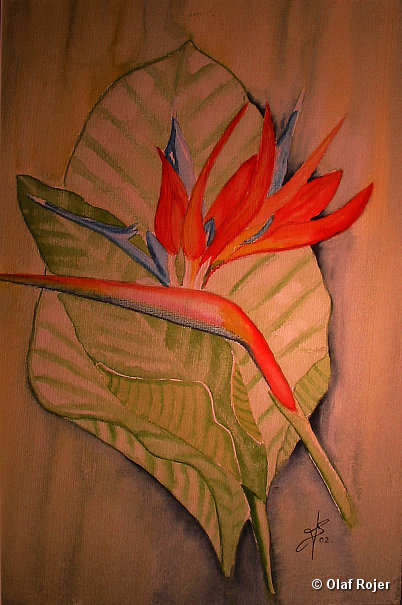 Ulrike Scheffer Picture 027