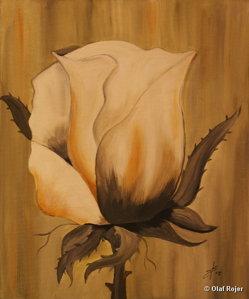 Ulrike Scheffer Picture 044