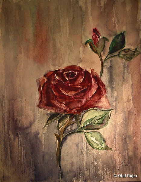 Ulrike Scheffer Picture 015