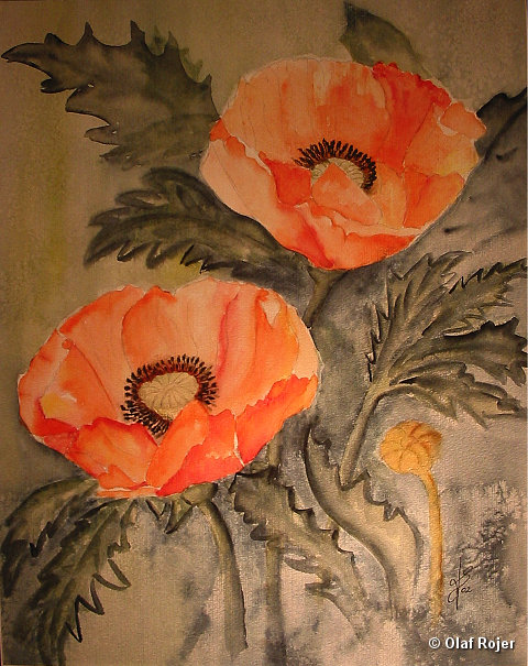 Ulrike Scheffer Picture 017