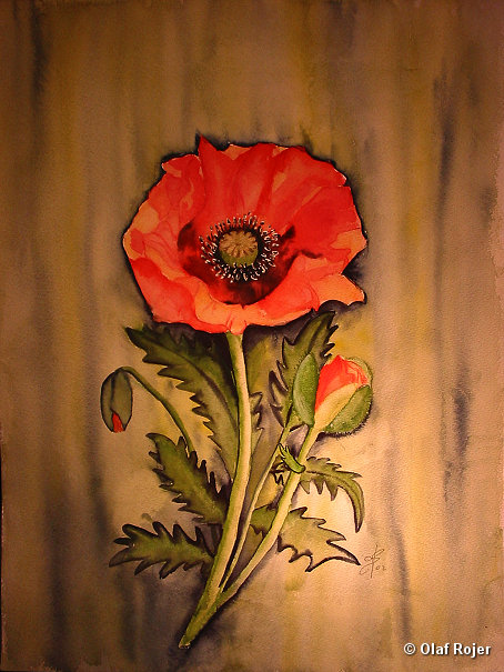 Ulrike Scheffer Picture 016