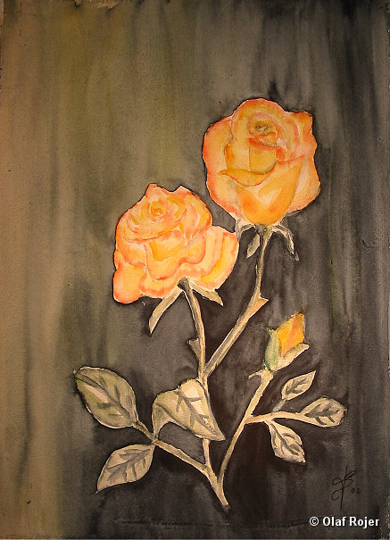 Ulrike Scheffer Picture 013